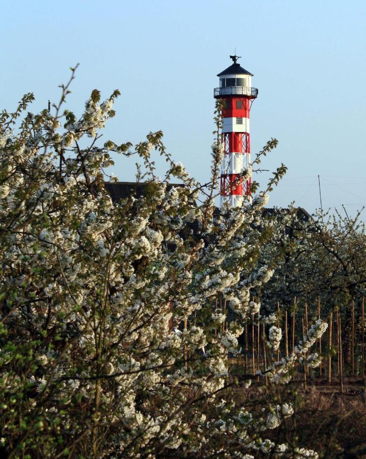 Fewo Blankenese Im Haus Luehegarten Grünendeich 외부 사진